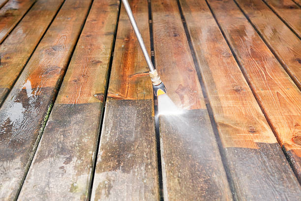 Best Animal Enclosure Cleaning  in Parsons, KS